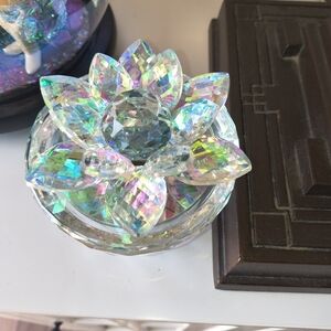 Iridescent Lotus Flower